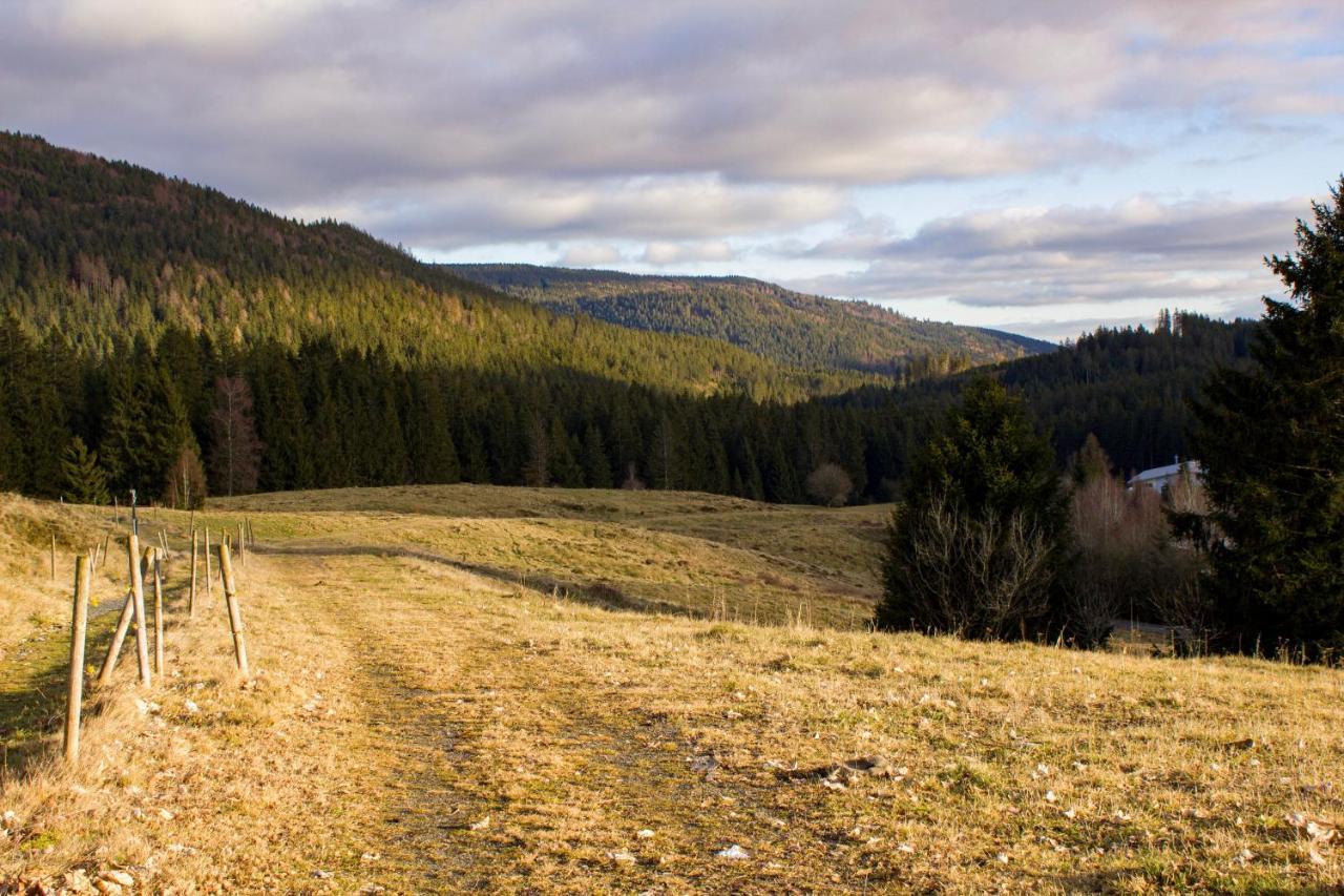Gemuetliche Ferienwohnung - Mitten Im Schwarzwald Bernau im Schwarzwald Eksteriør bilde