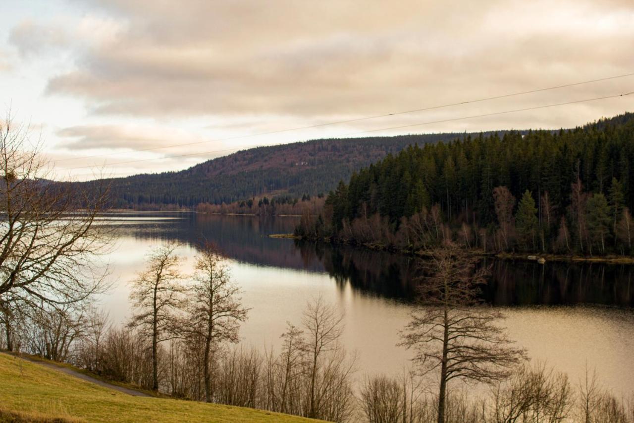 Gemuetliche Ferienwohnung - Mitten Im Schwarzwald Bernau im Schwarzwald Eksteriør bilde